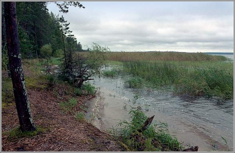 photo "Melancholy etude" tags: landscape, autumn, water