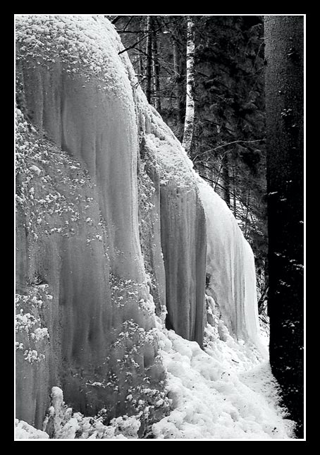 фото "Ice" метки: черно-белые, пейзаж, зима