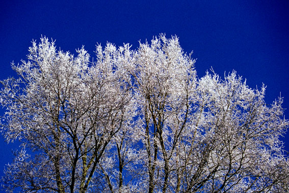 photo "winter in Ostend.1" tags: misc., landscape, winter
