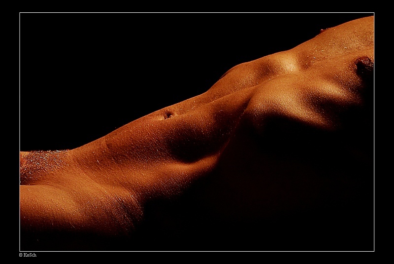 photo "Torso" tags: nude, 