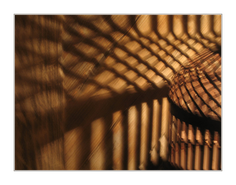 photo "...among the shades..." tags: abstract, still life, 