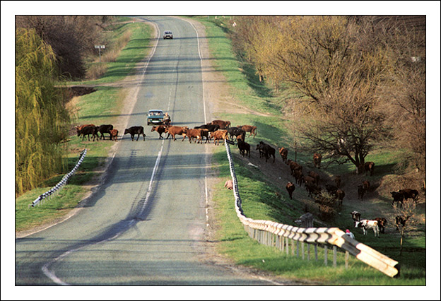 photo "Road impression..." tags: landscape, spring