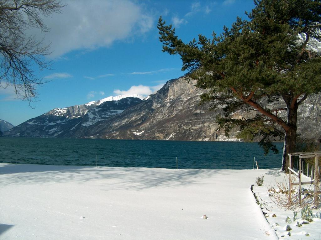 photo "record of snow cover (25 cm) for this winter" tags: landscape, water, winter