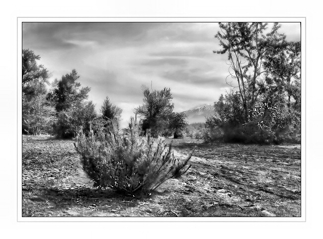 photo "HEAT 2" tags: black&white, landscape, 