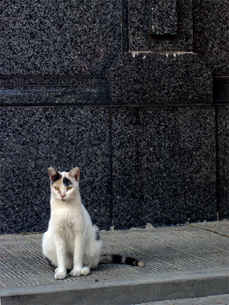 фото "Pet`s cemetery" метки: архитектура, природа, пейзаж, домашние животные