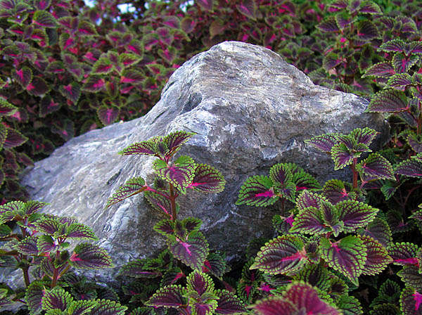 photo "Stone" tags: misc., 