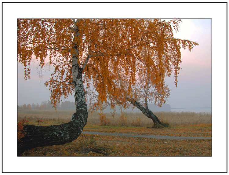 photo "Autumn sadness" tags: landscape, autumn, sunset