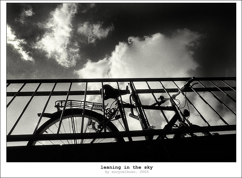 фото "leaning in the sky" метки: черно-белые, 