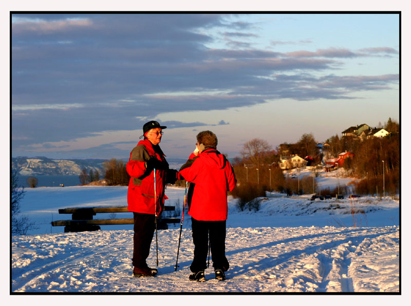 photo "Walking etude II" tags: landscape, genre, winter