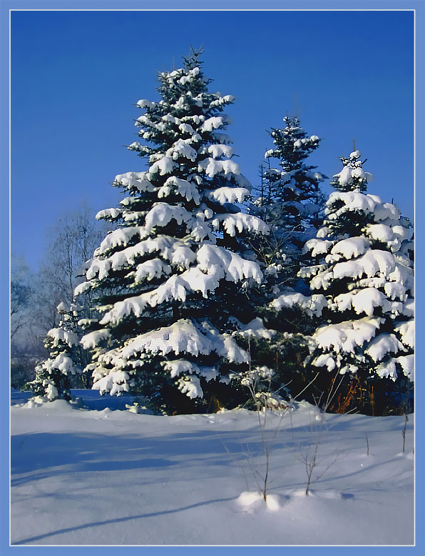 фото "Однажды в студёную зимнюю пору ..." метки: пейзаж, лес