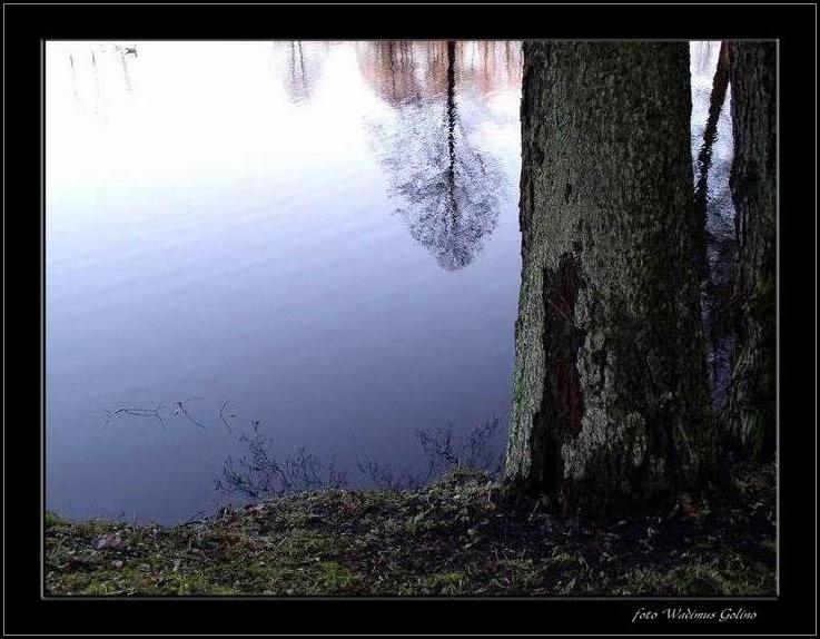 photo "Calm..." tags: landscape, nature, autumn