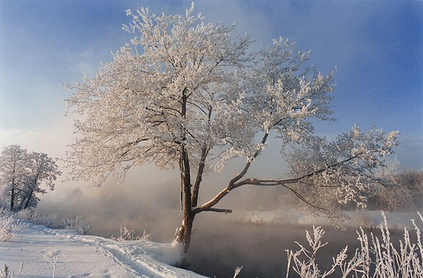 фото "без имени" метки: природа, пейзаж, зима