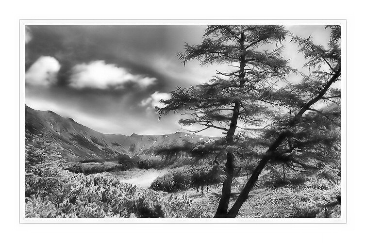 photo "HEAT 3" tags: black&white, landscape, 