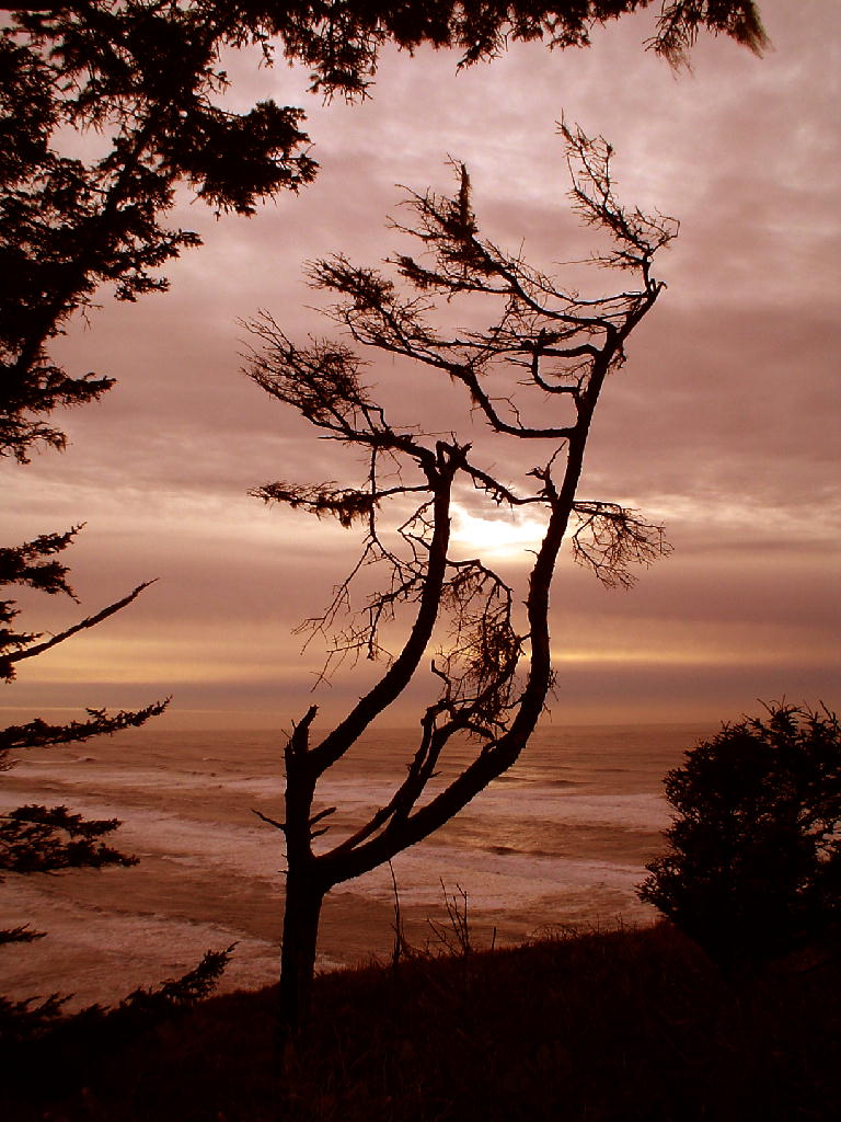 photo "Evening." tags: landscape, sunset
