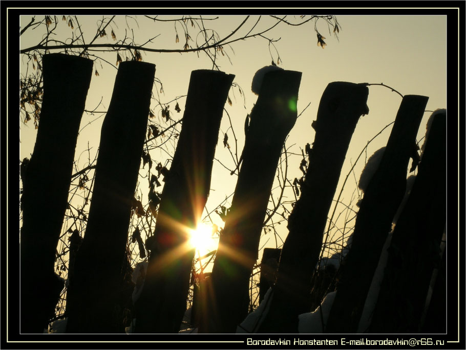 photo "The sun in..." tags: nature, landscape, winter