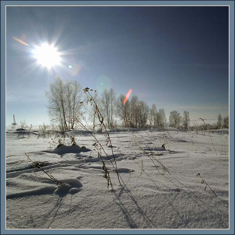 фото "К солнцу" метки: пейзаж, зима