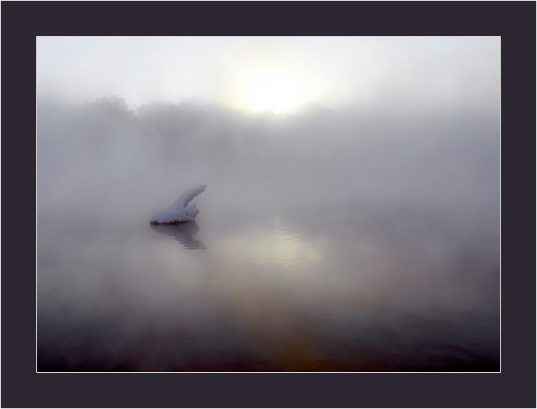 photo "Without the name" tags: landscape, sunset, water