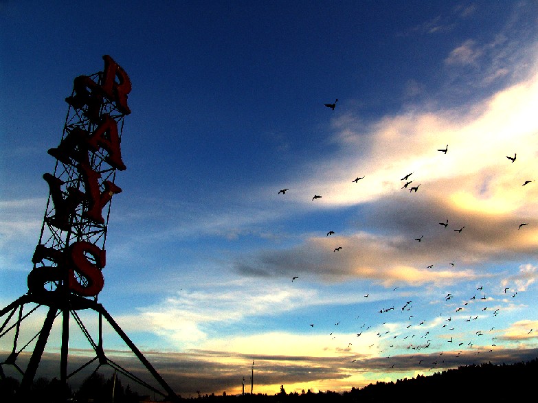 photo "in flight" tags: misc., 