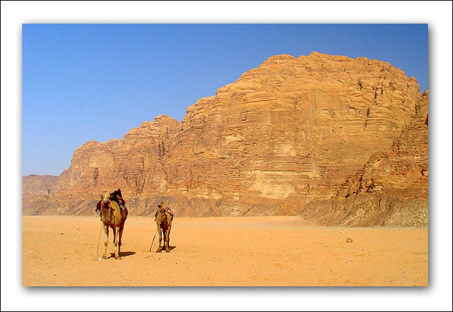 photo "The two camels" tags: travel, landscape, 