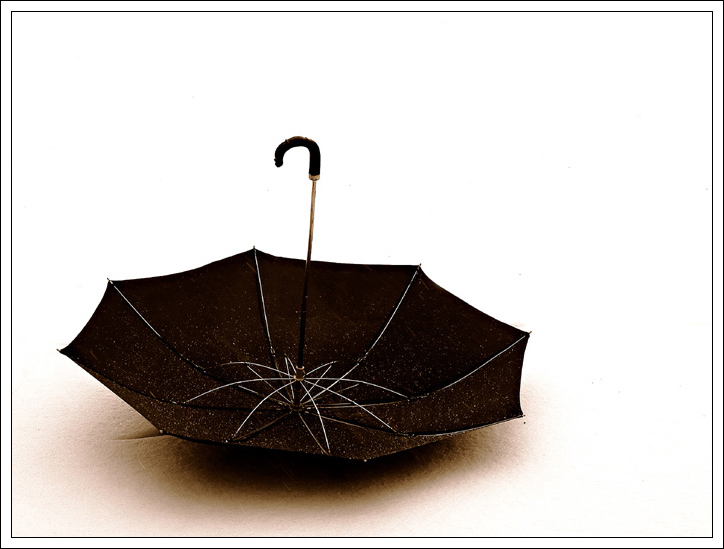 photo "Lost umbrella." tags: black&white, genre, 