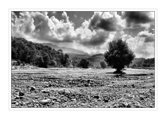 photo "HEAT 4" tags: black&white, landscape, 
