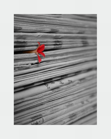photo "Red" tags: misc., 