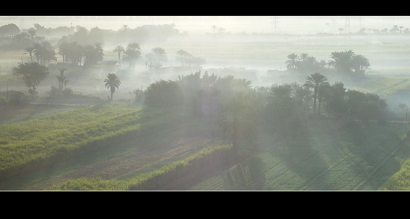 фото "Morning mist" метки: пейзаж, природа, лес