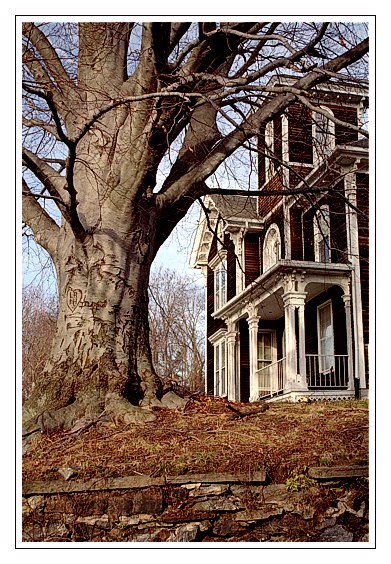 фото "Дом и дерево" метки: архитектура, пейзаж, 