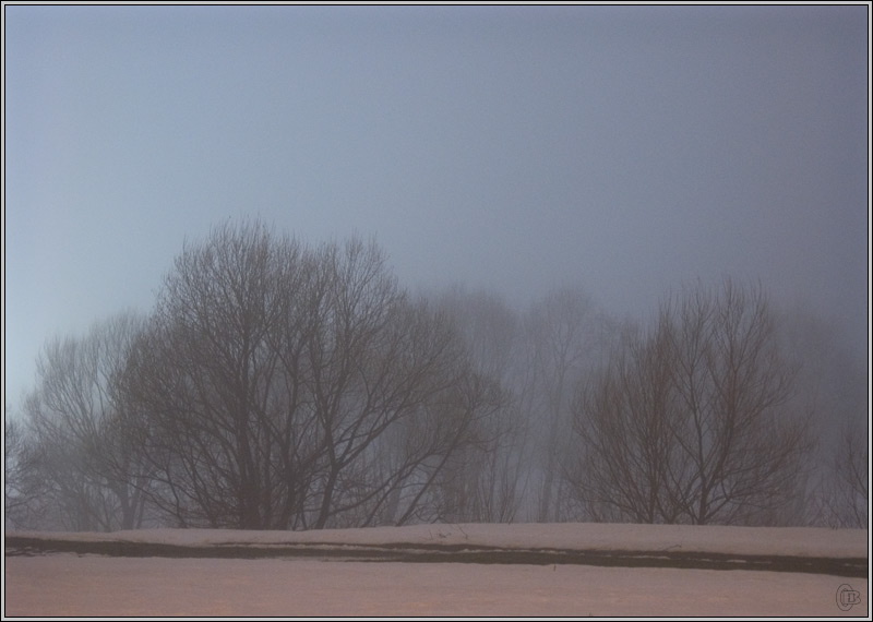 photo "Dreams about a forest" tags: landscape, forest, night