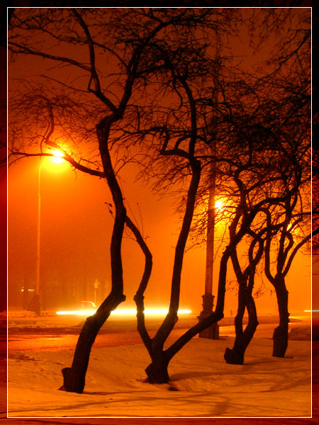 photo "Movement" tags: landscape, night, winter