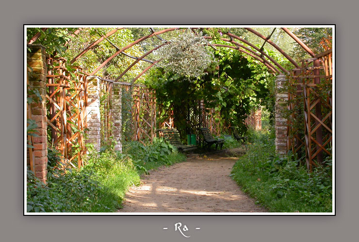 photo "Alley in botanical garden" tags: architecture, landscape, 