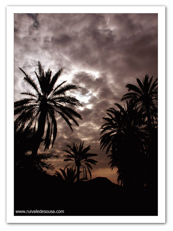 photo "Chebika" tags: misc., 