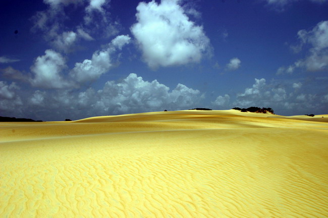 photo "Brazil" tags: travel, landscape, South America, summer