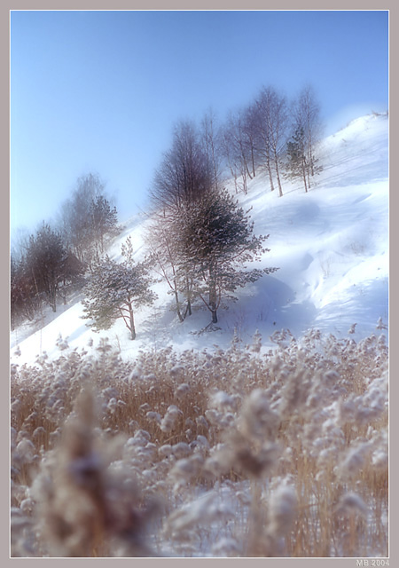 фото ""Берег"" метки: пейзаж, зима