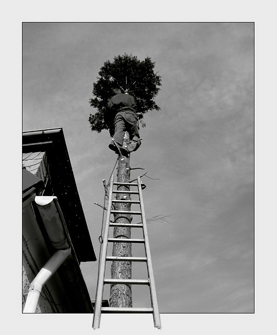 фото "free from giddiness" метки: черно-белые, репортаж, 