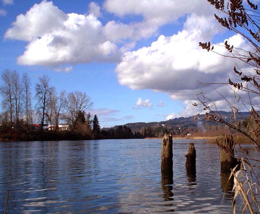photo "Spring in the air..." tags: landscape, water