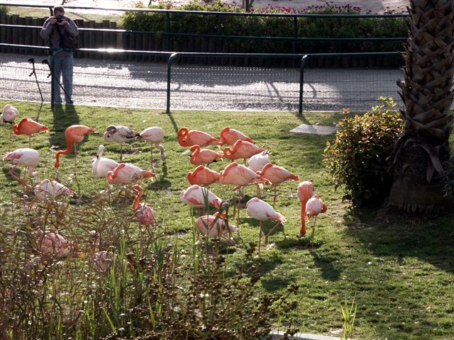 фото "Zoo II" метки: природа, дикие животные