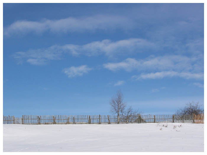 photo "Lines" tags: landscape, winter