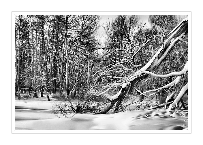 photo "Light&Shadows IV" tags: black&white, landscape, 