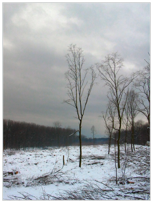 photo "*****" tags: landscape, winter