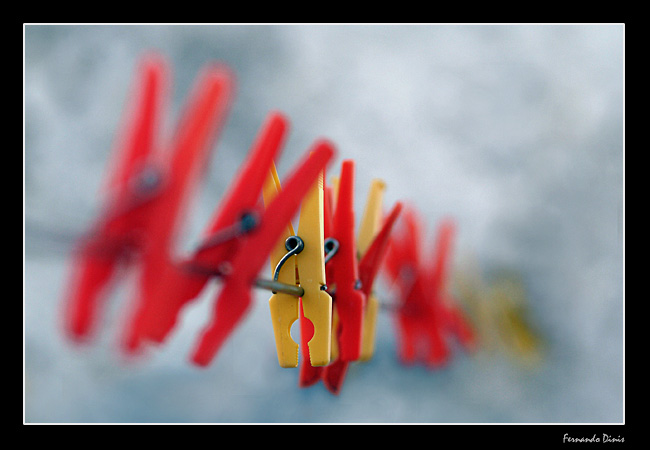 photo "Right yellow" tags: still life, macro and close-up, 