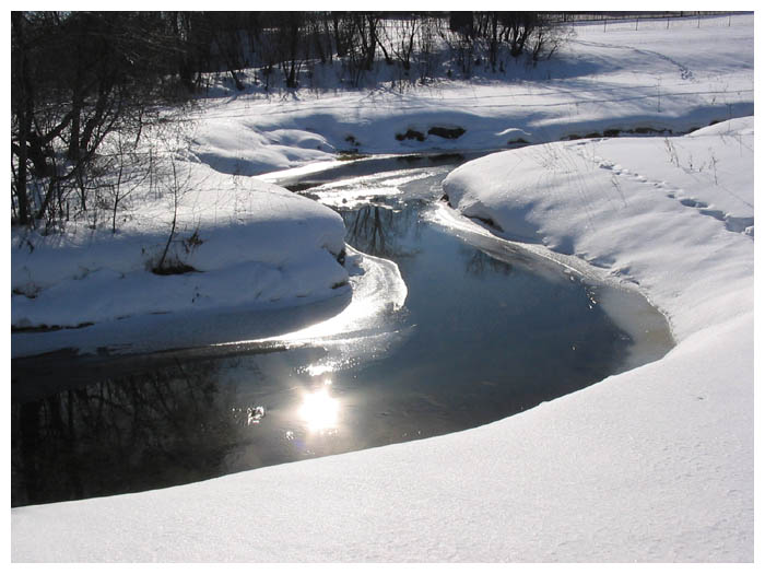 фото "Речное солнце" метки: пейзаж, зима, лес