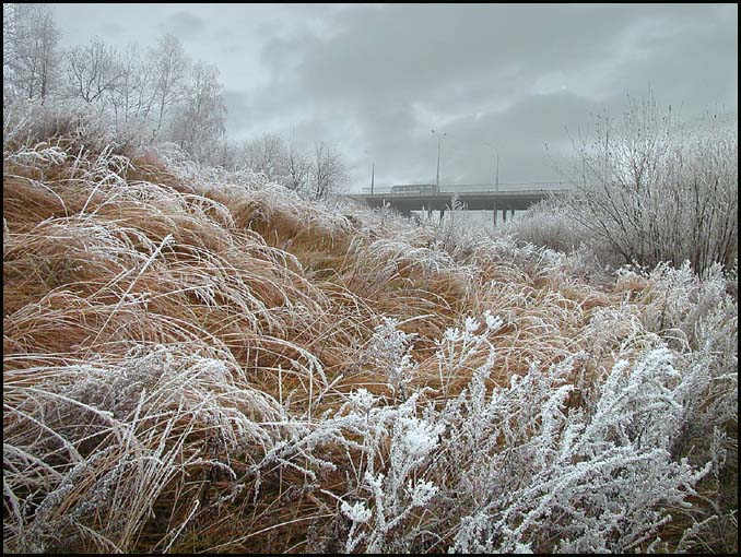 photo "November etude" tags: landscape, autumn, winter