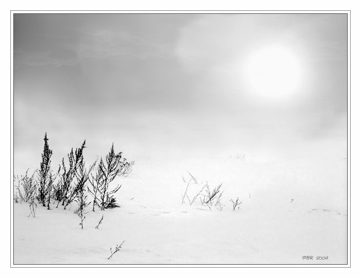 photo "Winter endlessly" tags: black&white, 