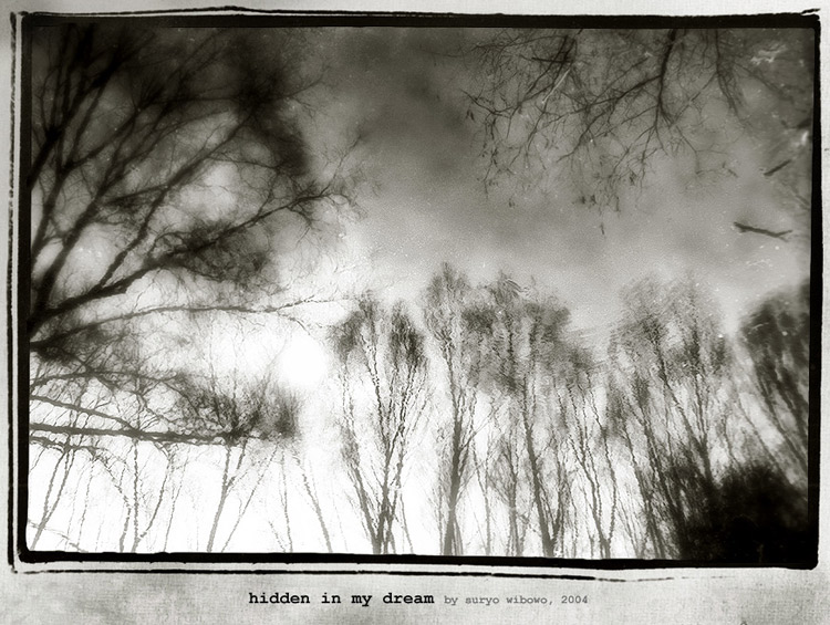 фото "hidden in my dream" метки: природа, 