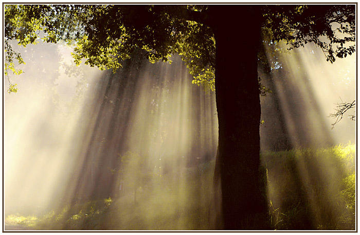 photo "The first sunbeams" tags: landscape, sunset