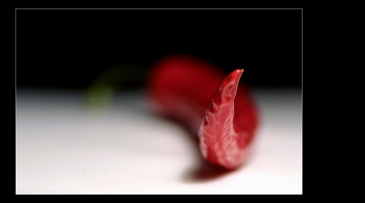 photo "***" tags: macro and close-up, 