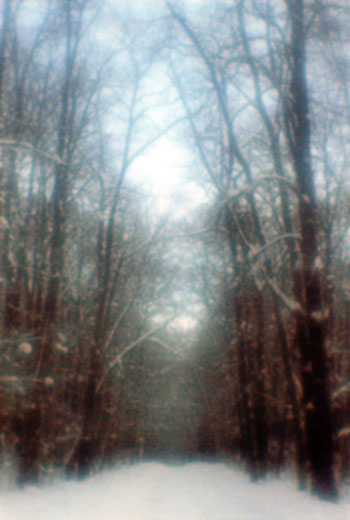 photo "Winter etude 1. Monocle." tags: landscape, winter