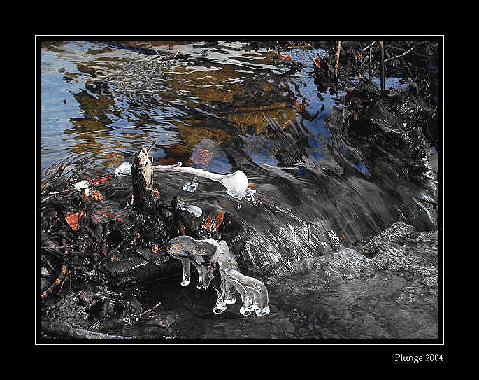 photo "small RIVER..." tags: nature, montage, 