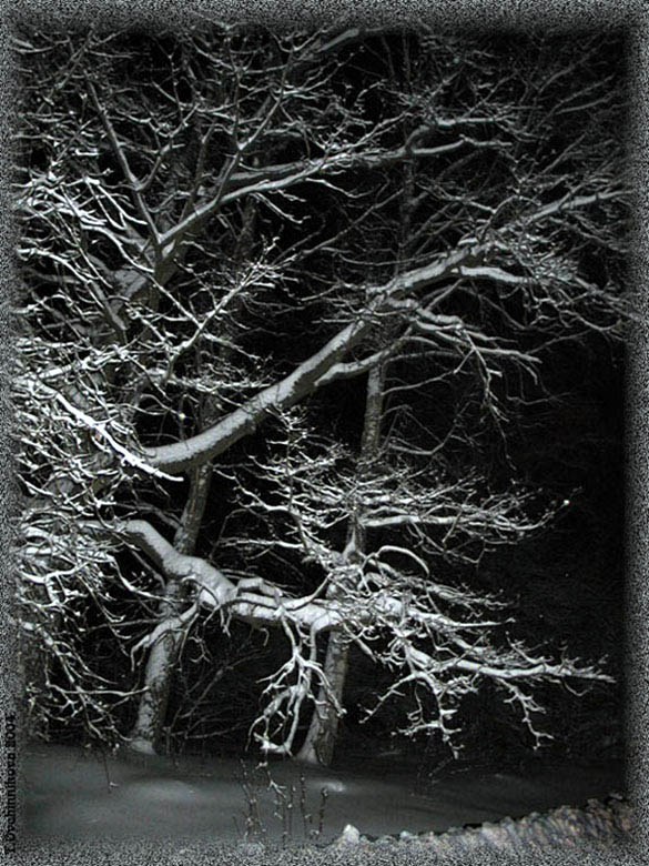 photo "Magic of night" tags: landscape, night, winter
